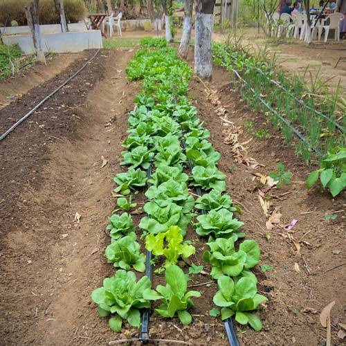 découvrir l'agriculture madagascar voyage agritourisme afrique logement locaux fermes