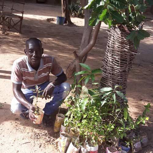 Voyage Afrique Mali agritourisme vie locale