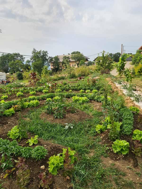 vacances à la ferme en savoie agritourisme écotourisme écologie jardin potager