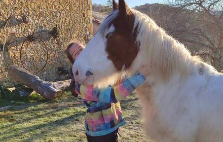Cours d'anglais particuliers : Apprendre l'anglais à la ferme, avec les poneys, en jardinant ou en créant