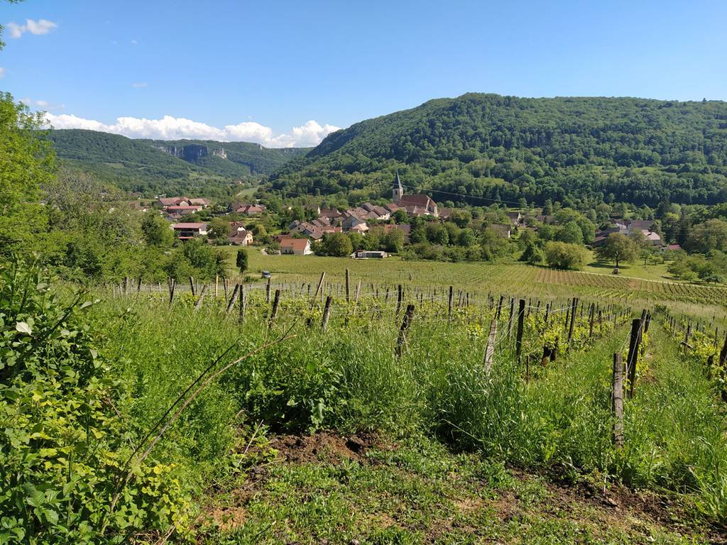 itinérance douce randonnée villages Jura Franche Comté Arbois