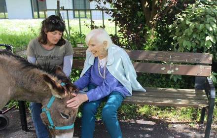 Loire Atlantique activité de médiation animale avec les ânes pour les publics en situation de handicap, adultes ou enfants