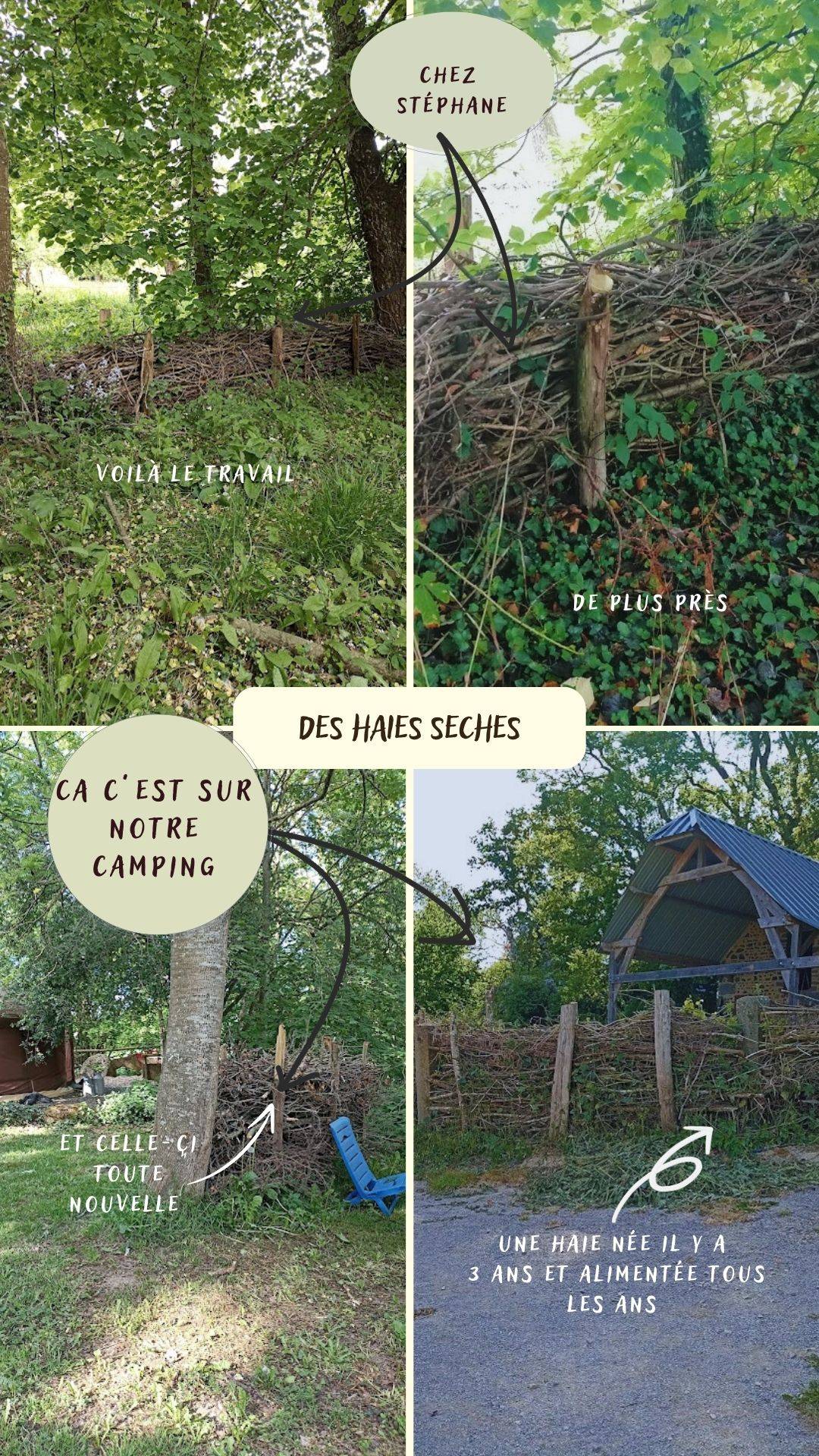 Conseils paysans et idées entretien jardin culture et savoir faire