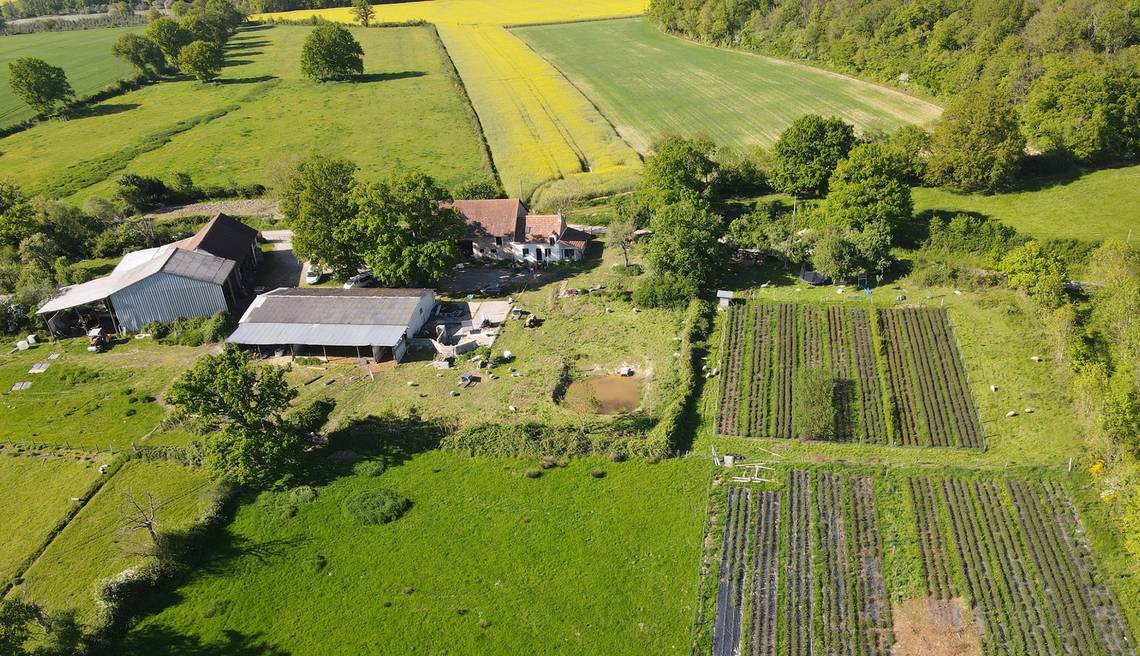 Monde agricole élection chambres agriculture 2025 vote professionnels