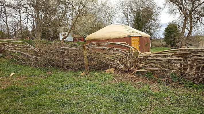 Conseils paysans et idées entretien jardin culture et savoir faire haie et palissade