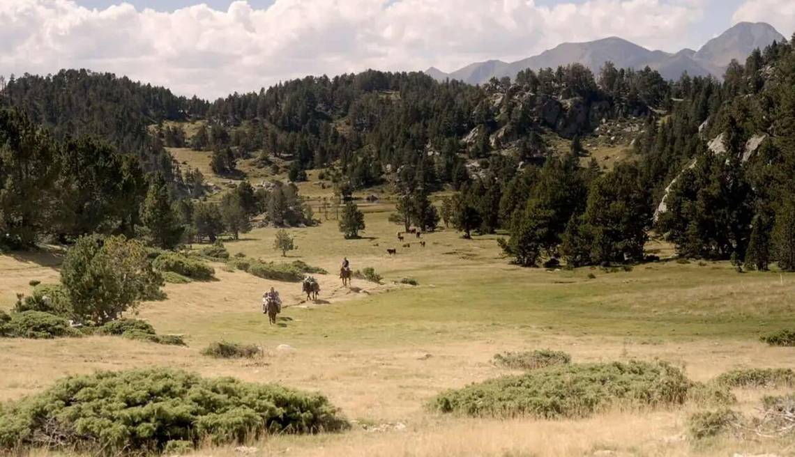 film accueil paysan l'envol agriculture paysanne agroécologie agritourisme agir environnement alimentation
