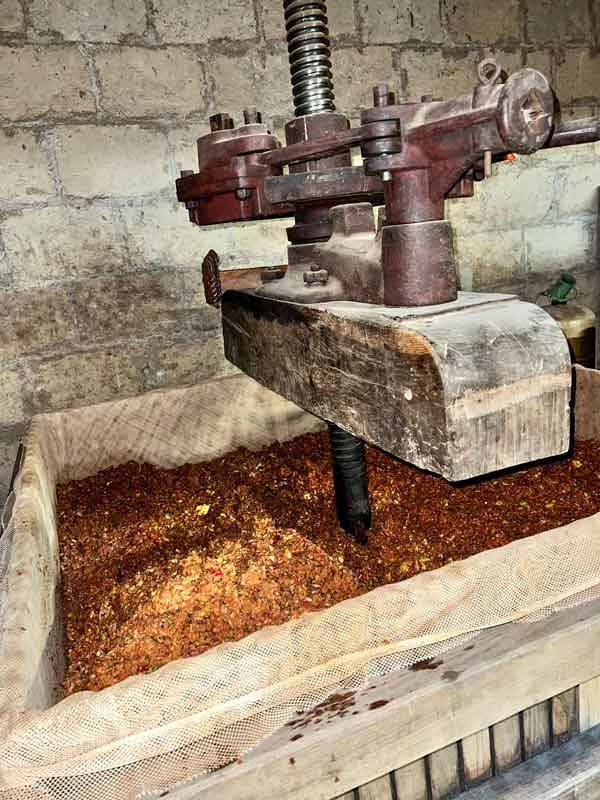 Jardin de max et Nana producteurs locaux de pommes et jus de fruits en Savoie réseau Accueil Paysan agritourisme vacances à la ferme
