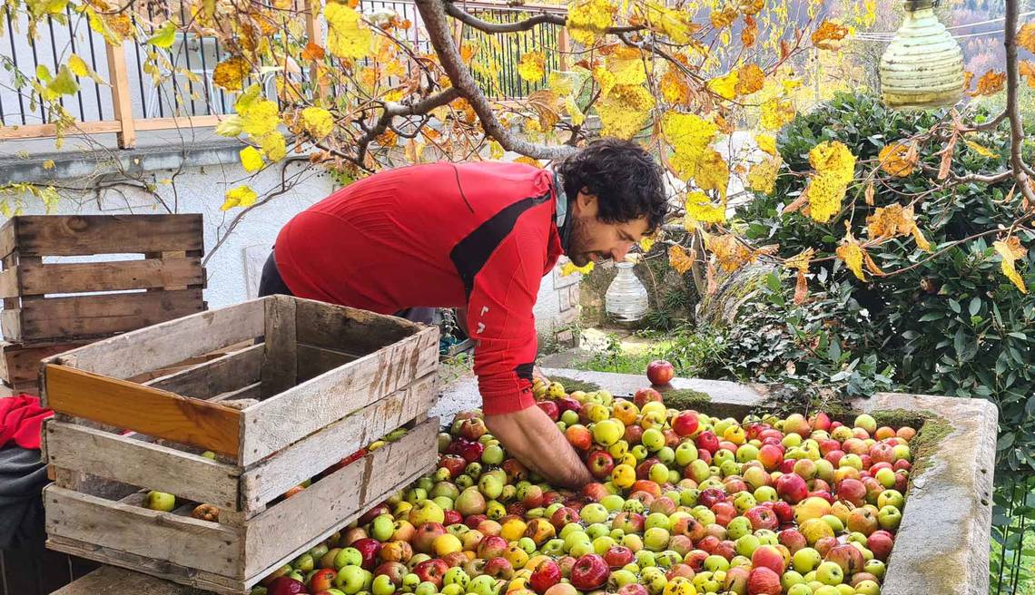 Jardin de max et Nana producteurs locaux de pommes et jus de fruits en Savoie réseau Accueil Paysan agritourisme vacances à la ferme