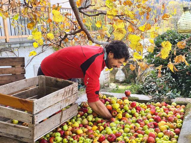 Jardin de max et Nana producteurs locaux de pommes et jus de fruits en Savoie réseau Accueil Paysan agritourisme vacances à la ferme