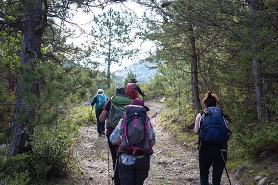 Guide randonnée dans la Drôme provencale itinérance douce marche sentier pédestre écotourisme agritourisme tourisme durable responsable