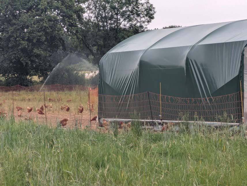Ferme bio oeufs poules plein air Loire Atlantique Ferme des Rangs d'Oignons