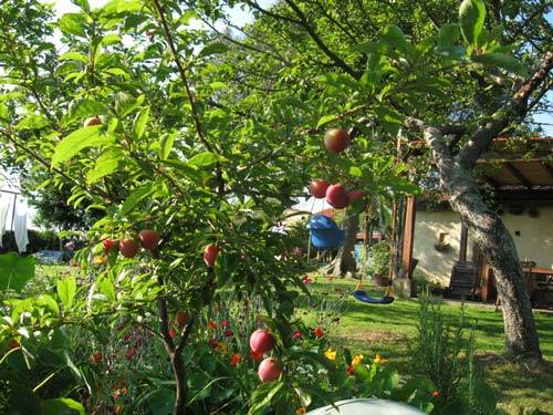 voyage en espage tourisme vert agritourisme Villaviciosa, Asturias, Espagne