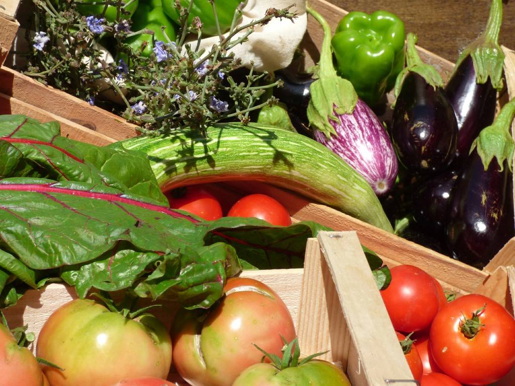 légumes maraichage bio restauration ferme auberge écotourisme agritourisme Occitanie vacances à la ferme