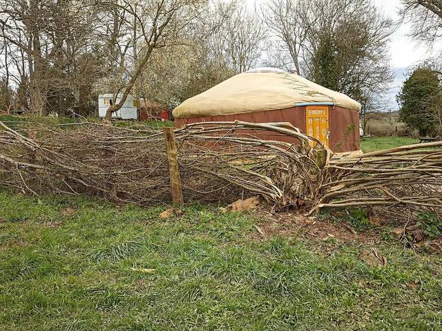 culture paysanne idées conseils jardin haies et palissades