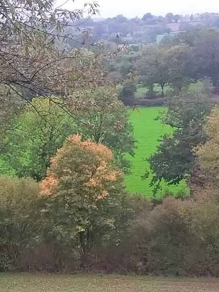 Haies bocagères dans les deux sèvres pour préservation de la nature et de la biodiversité sur les parcelles agricoles