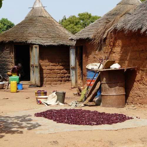 Voyage agritourisme écologique en Afrique au Burkina Fasco chez les paysans et les locaux