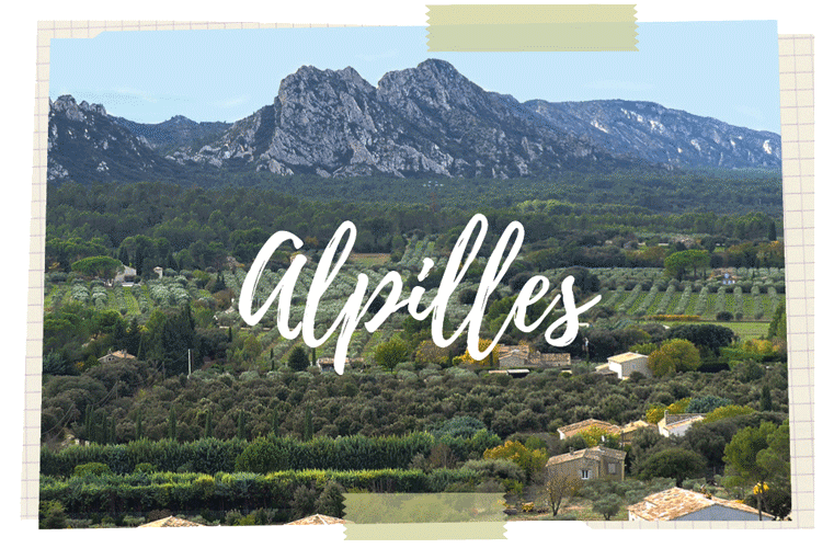 Circuit de randonnée en Provence dans les Alpilles itinérance marche en famille vacances tourisme nature