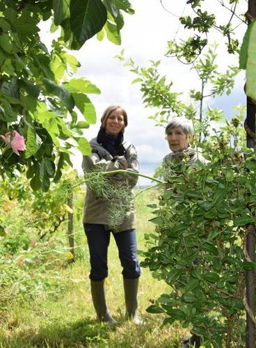 Paysanne femme en agriculture revue indépendante Citron Lot-et-Garonne