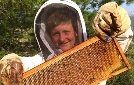 atelier initiation formation à l'apiculture en famille ou entre amis Hautes-Corbières agritourisme vacances à la ferme