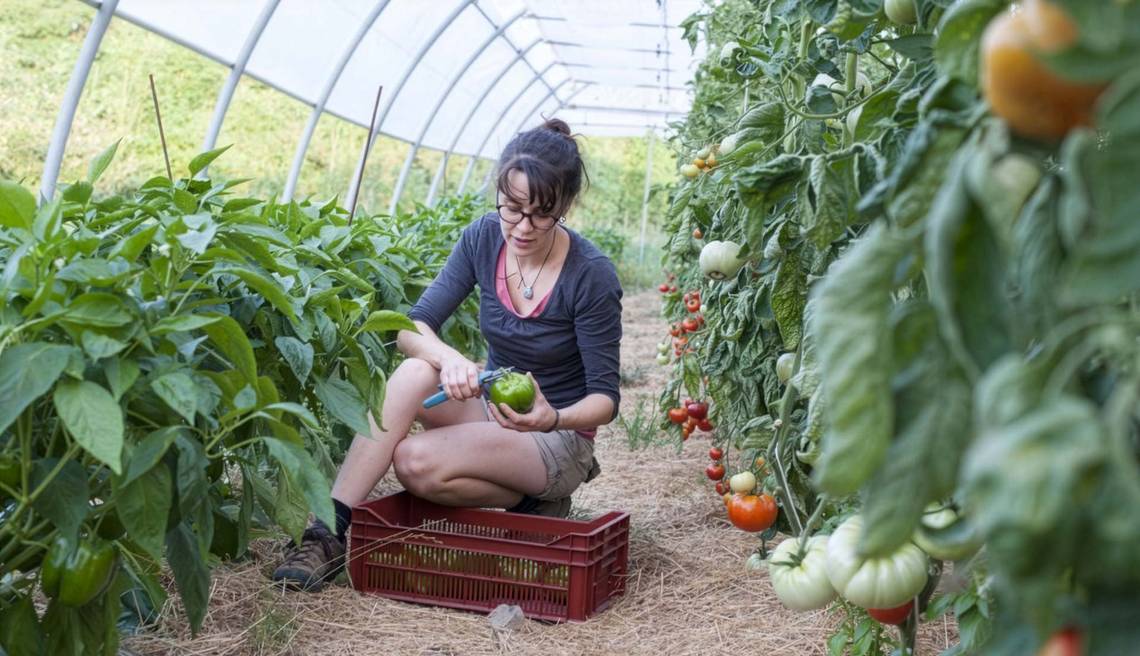 8 mars 2026 journée de lutte pour le droit des femmes et en agriculture ? Quelle place pour les femmes, quel accès à l'installation ?