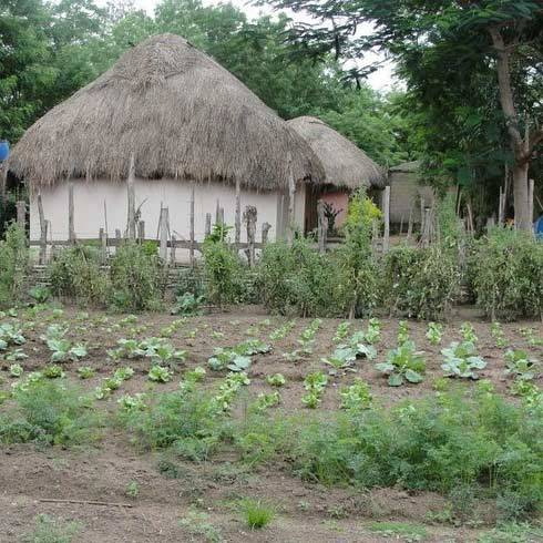 Voyager en Afrique au Bénin écotourisme agritourisme loger dans les fermes auprès de locaux