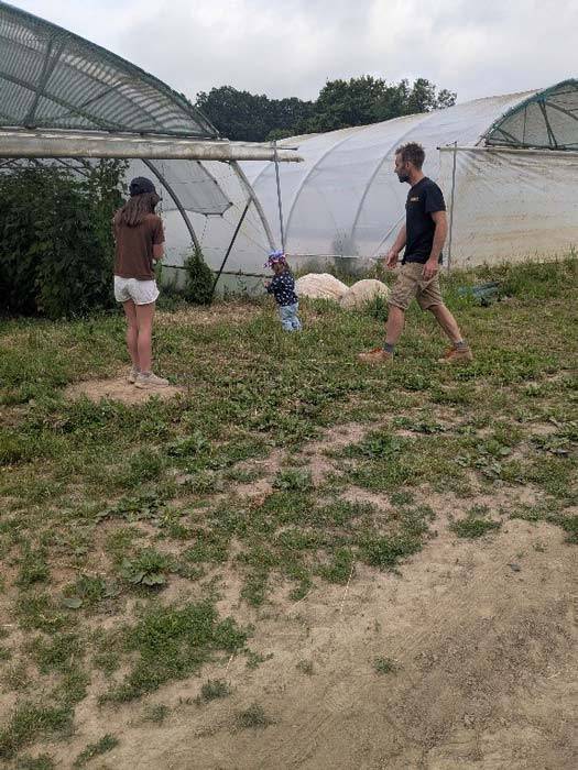 Maraichage biologique légumes oeufs plein air producteurs locaux loire atlantique