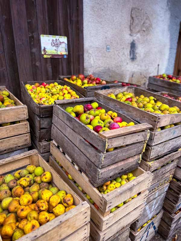 Caisses de pommes Jardin de max et Nana producteurs locaux de pommes et jus de fruits en Savoie réseau Accueil Paysan agritourisme vacances à la ferme