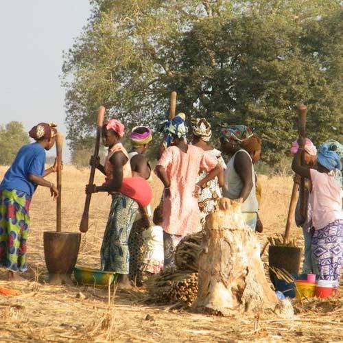 Voayager en Afrique au Sénégal et loger chez les habitants dans les fermes, écotourisme agritourisme écoresponsable
