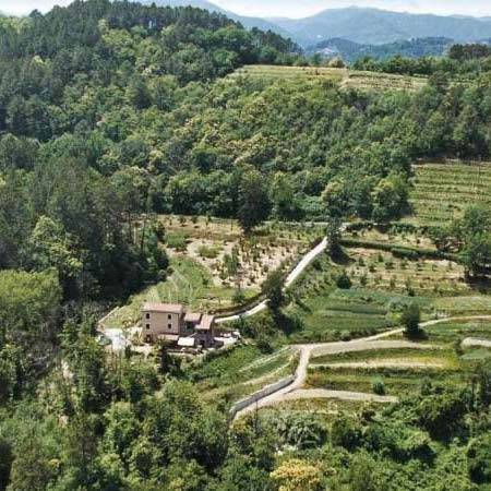 Voyage Italie écotourisme en logeant dans les ferme agritourisme écologique et économique
