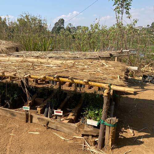 Visiter Madagascar Afrique en logeant chez les locaux agritourisme voyage
