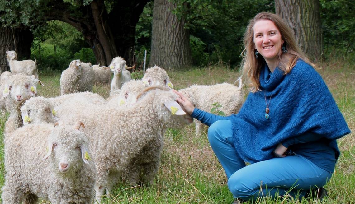 visite de ferme activité famille Nord élevage chèvres angora fabrication laine événement agritourisme