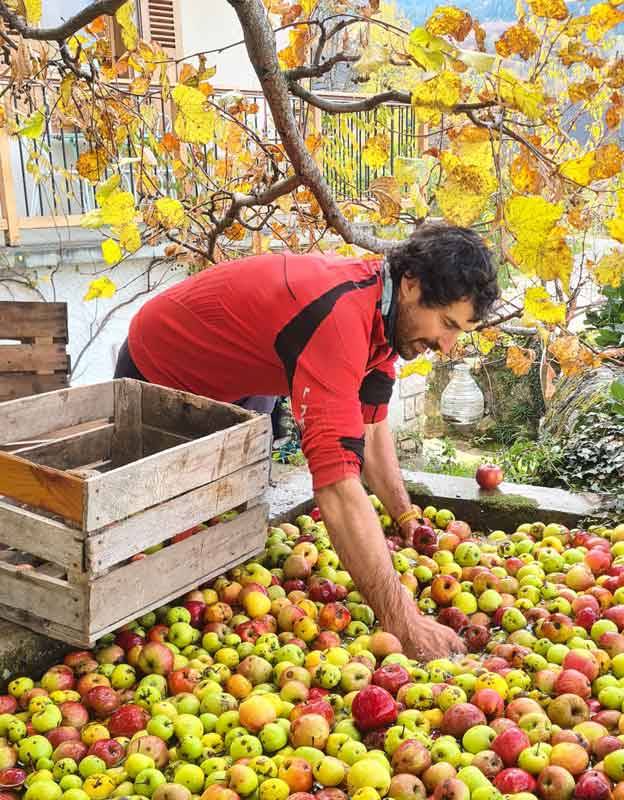 Jardin de max et Nana producteurs locaux de pommes et jus de fruits en Savoie réseau Accueil Paysan agritourisme vacances à la ferme