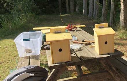 idée activité atelier à faire en famille en Vendée, nature fabrication de nichoirs pour les oiseaux, environnement