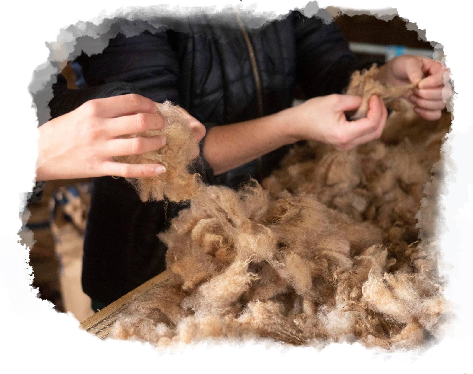 ateliers et stage savoir faire paysan laine osier plantes sauvages nature