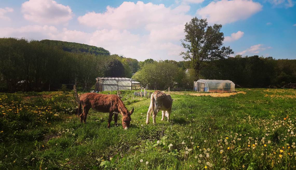 proteger-terres-agricoles-foncier-transition-agroecologique-le-bois-aux-bardes-bretagne