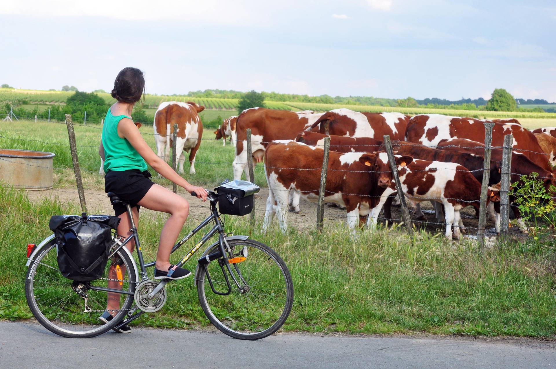 randonnée découvrir la Loire à vélo hébergement de ferme en ferme