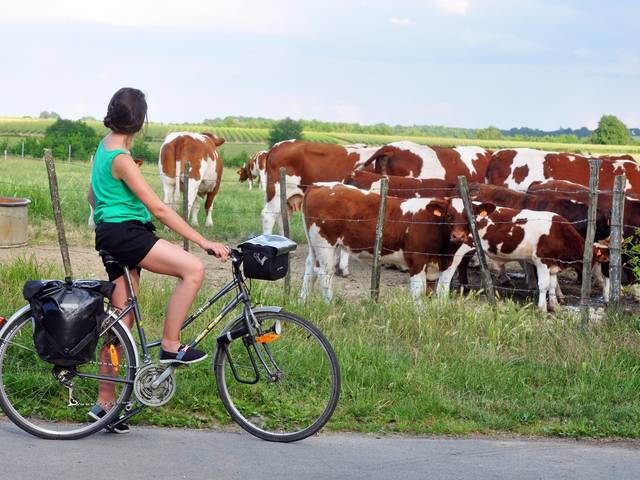 randonnée découvrir la Loire à vélo hébergement de ferme en ferme