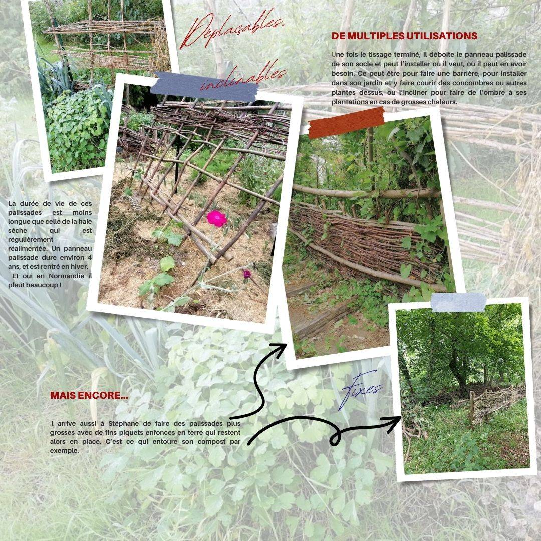Conseils paysans et idées entretien jardin culture et savoir faire haies et palissades