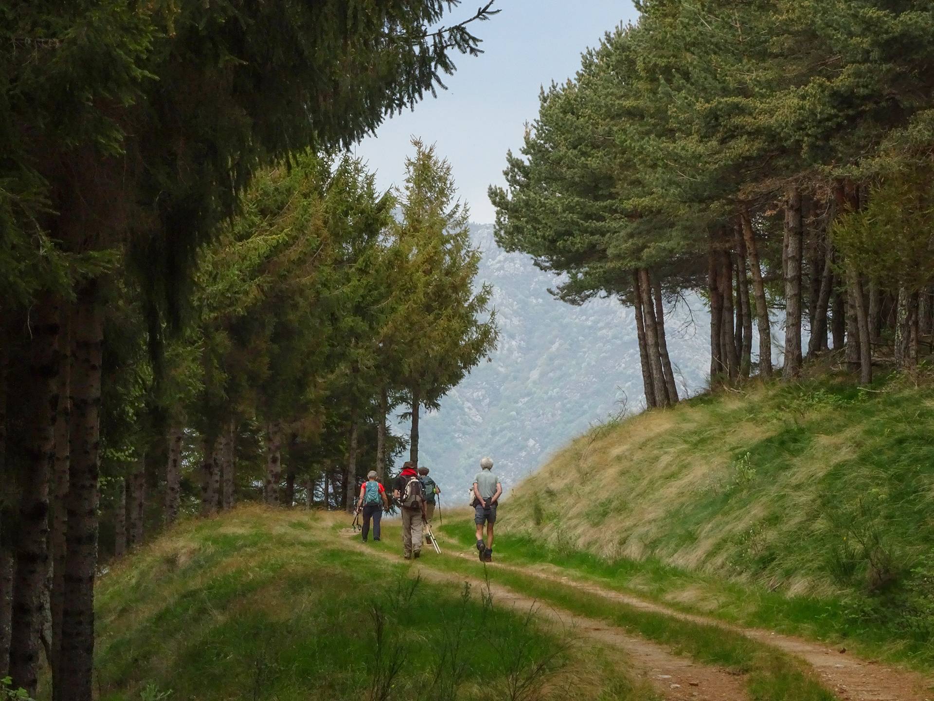 Guide randonnée en Ardèche itinérance douce marche sentier pédestre écotourisme agritourisme tourisme durable responsable