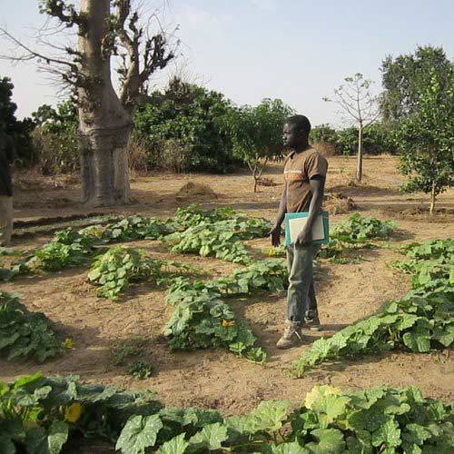 Voyager en Afrique en agritourisme, loger dans les fermes auprès des habitants et des locaux. Ecotourisme