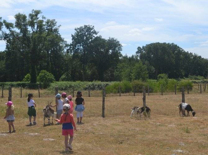 mediation animale enfants ferme pédagogique Sarthe vacances à la ferme tourisme solidaire