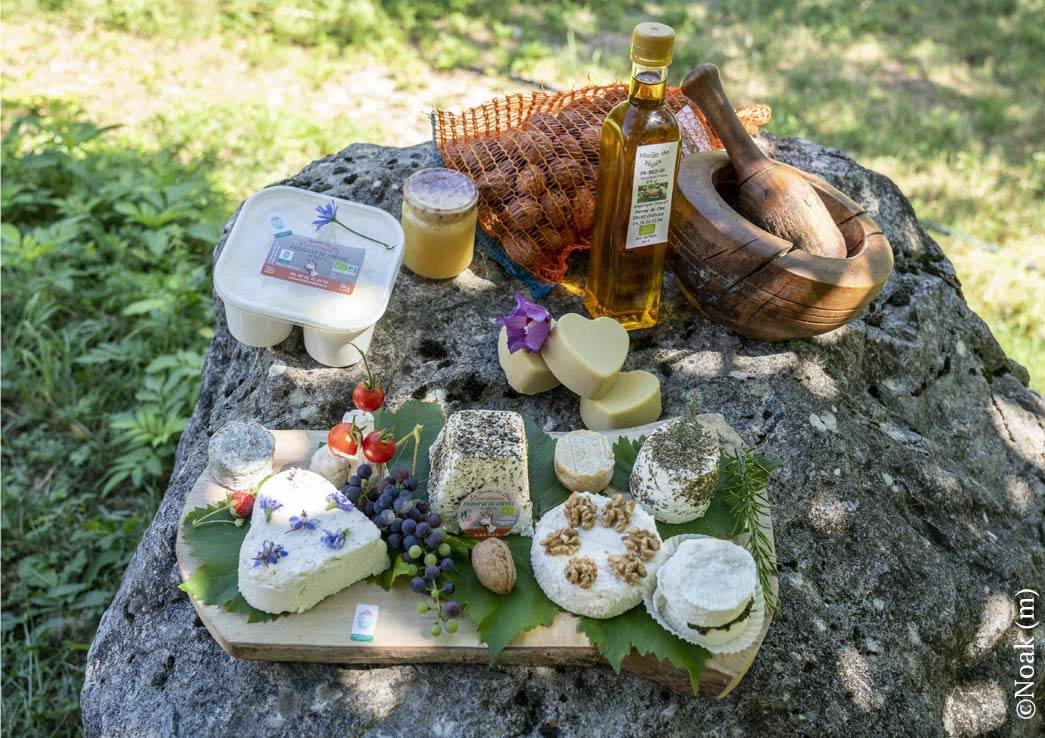 Evènement visite de ferme vacances famille agritourisme  Auvergne Rhone Alpes dégustation produits locaux 2024