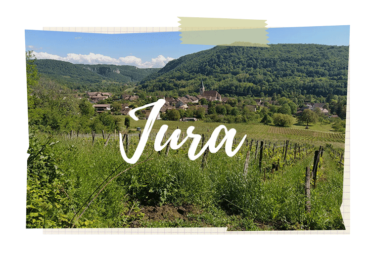 Activité randonnée dégustation découverte Jura idée vacances famille nature