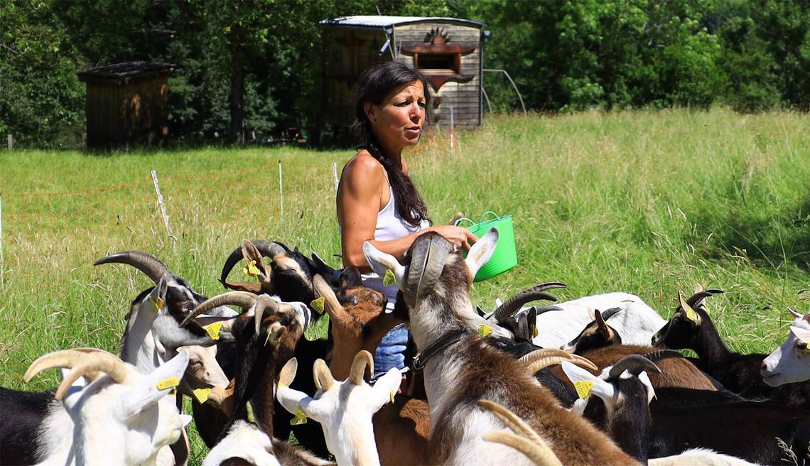 A tout bout'de champ événement Vercors vacances ferme visite famille agritourisme Auvergne Rhone Alpes 2024