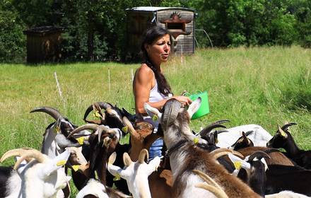 A tout bout'de champ événement Vercors vacances ferme visite famille agritourisme Auvergne Rhone Alpes 2024