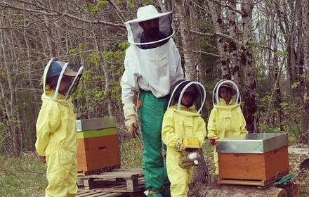 découverte abeilles et apiculture en famille animation activité agritourisme vacances à la ferme