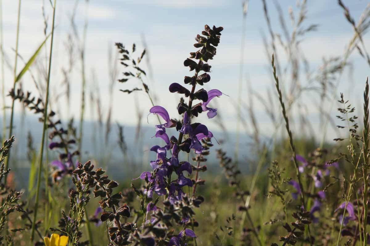 biodiversité vacances nature famille écotourisme