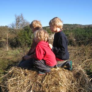 Photo de portrait de Ivan Mannheim