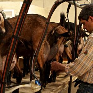 Photo de portrait de Daniel