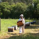Photo de portrait de Monique Valenti et Jacques Capdeville